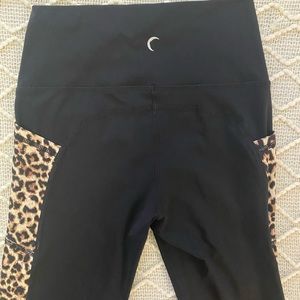 Leopard Pocket Brilliant Hi-Rise Capri 20"